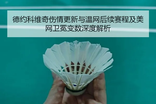 德约科维奇伤情更新与温网后续赛程及美网卫冕变数深度解析